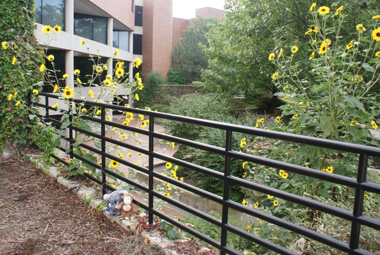 Wichita State University Ablah Library
