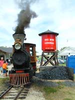 Narrow Guage Steam Train