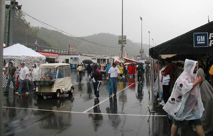In the Rain