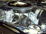 77 Pontiac Firebird Trans Am Coupe w/BBP 6.6L V8