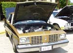 79 Oldsmobile Cutlass Hurst/Olds Coupe