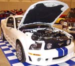 06 Ford Mustang Roush Stage 1 Coupe