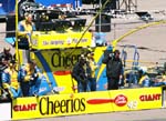 Cheerios 43 Pits