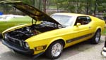 73 Ford Mustang Mach1 Fastback