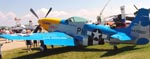 North American P-51D Mustang Paul I